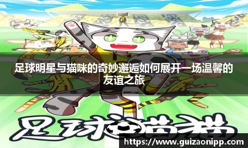 足球明星与猫咪的奇妙邂逅如何展开一场温馨的友谊之旅
